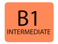 B1_1